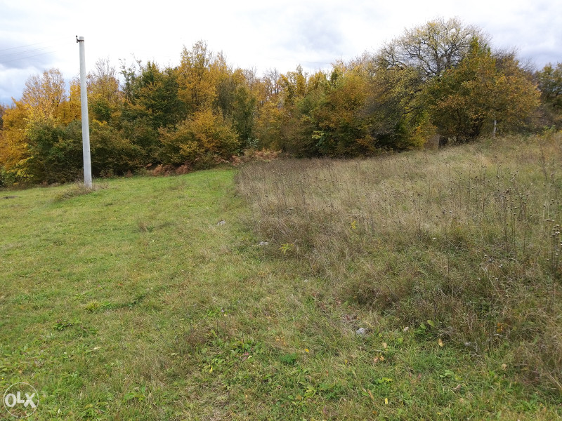 Zemljište u Ljubačevu - 9382 m2 14