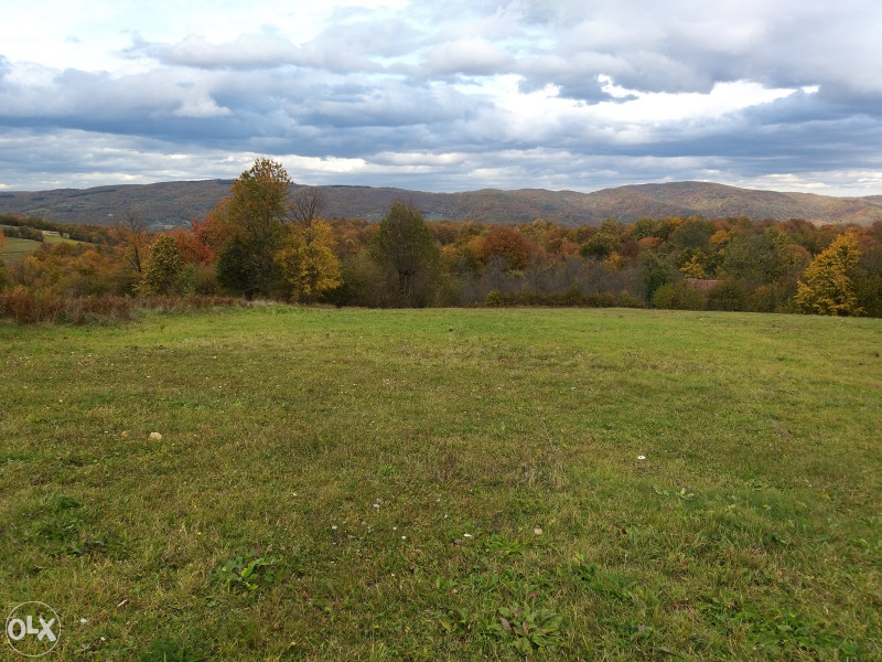 Zemljište u Ljubačevu - 9382 m2 38
