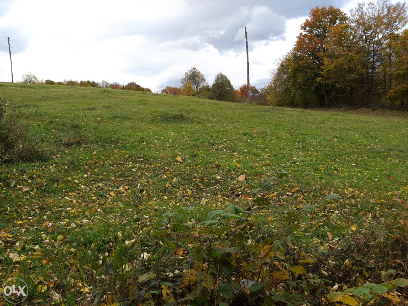 Zemljište u Ljubačevu - 9382 m2 7