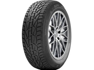 RIKEN 225/55R17 101V XL SNOW