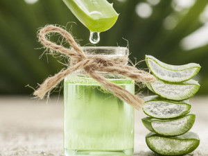 Aloe Vera Gel 10:1