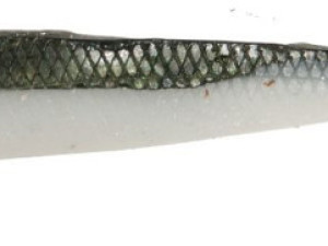 3055/125 GL -Fast Action Shad-125 mm [00102]