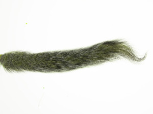 4726/9 Rep vjeverice - maslinasti [00050]