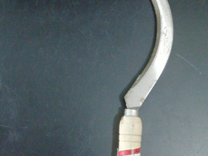Srp nazubljeni