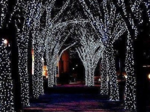 LED novogodišnje lampice 70m