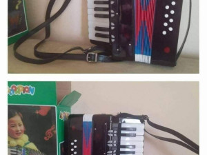 DJEČIJA HARMONIKA ZA DJECU 25x24x12. 065 495 481