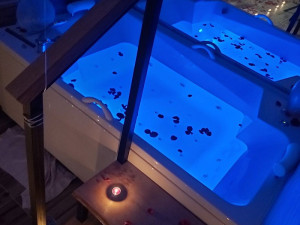 Stan na dan Sarajevo jacuzzi daily rent apatment luxury