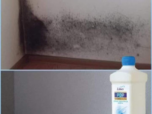 Buđ vlaga ciscenje buđi i vlage dezinfekcija PDP limes