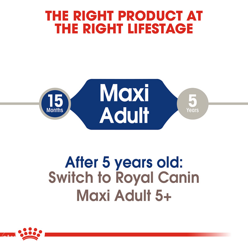 Premium hrana za pse - Maxi Adult 15kg
