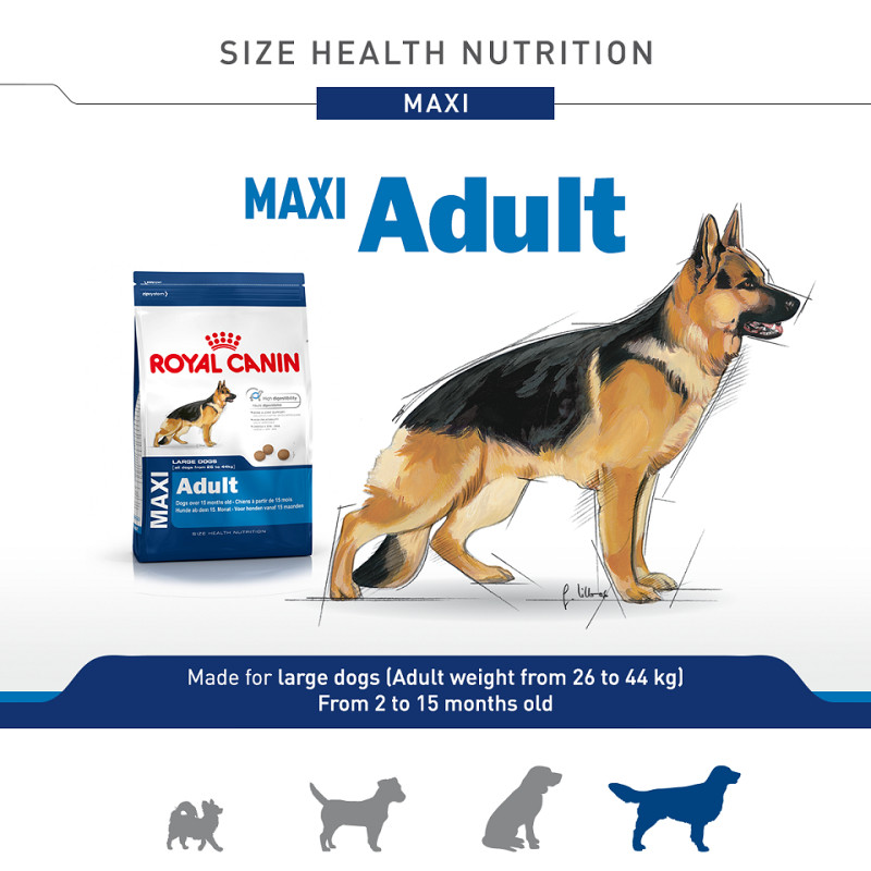Premium hrana za pse - Maxi Adult 15kg