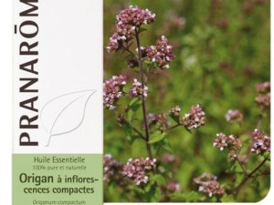 Eterično ulje Mravinac kompaktni PRANAROM