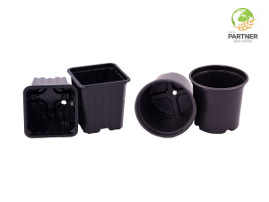 Saksija saksije čaša čašice za rasad rasadu presadu PVC