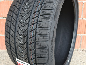 Gume 225/50 18 99V XL GRIPMAX ProWibter(225/50 R18)