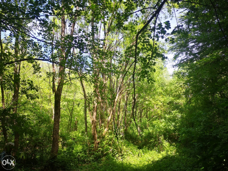 Boracko jezero - zemljiste 9