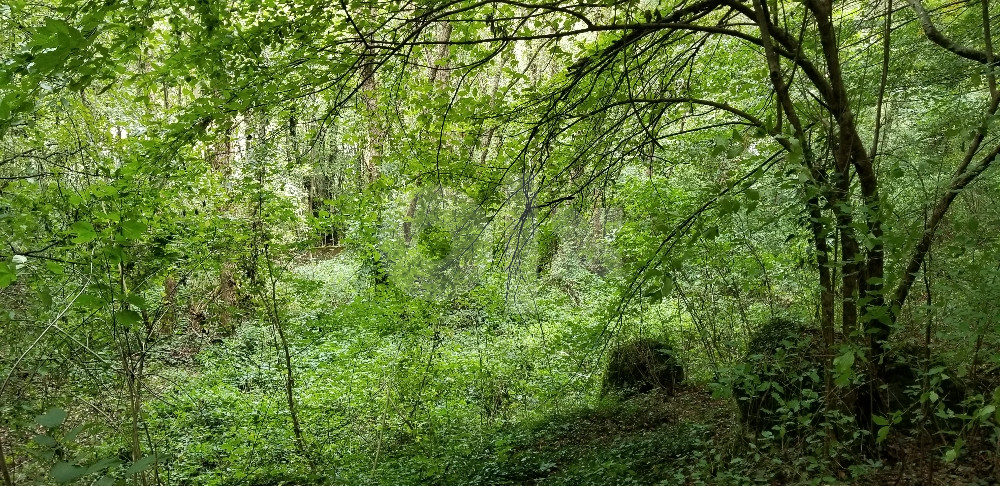 Boracko jezero - zemljiste 12