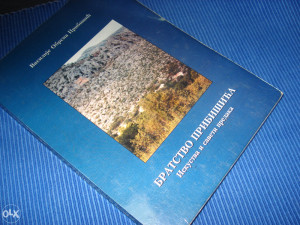 Bratstvo Pribišića - Vasilije Pribišić