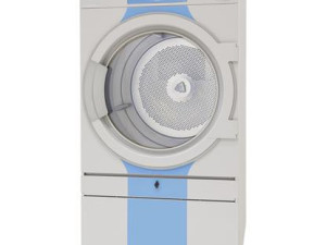 Profesionalna susilica / susara