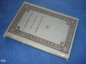 NAŠI I STRANI - Jaša M. vić