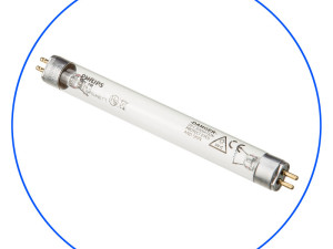 UV Lampe