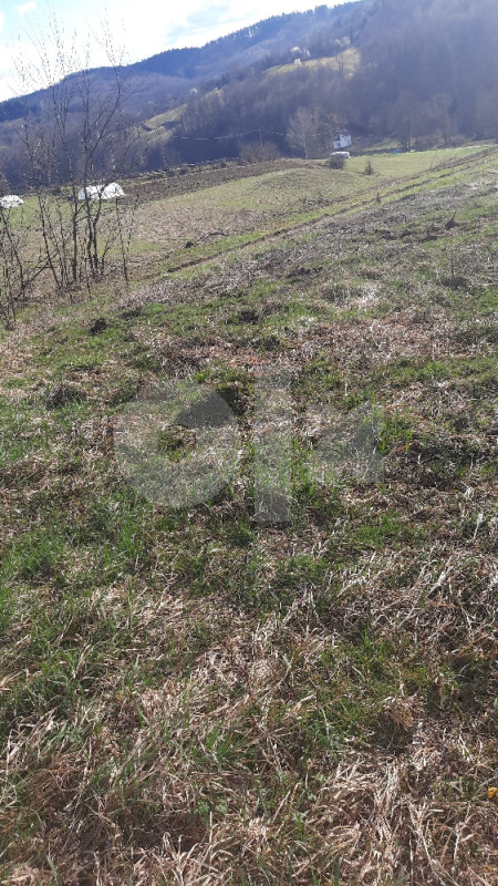 HITNO- HITNO IMANJE VRLO  povoljno sa kucom za renoviranje 12
