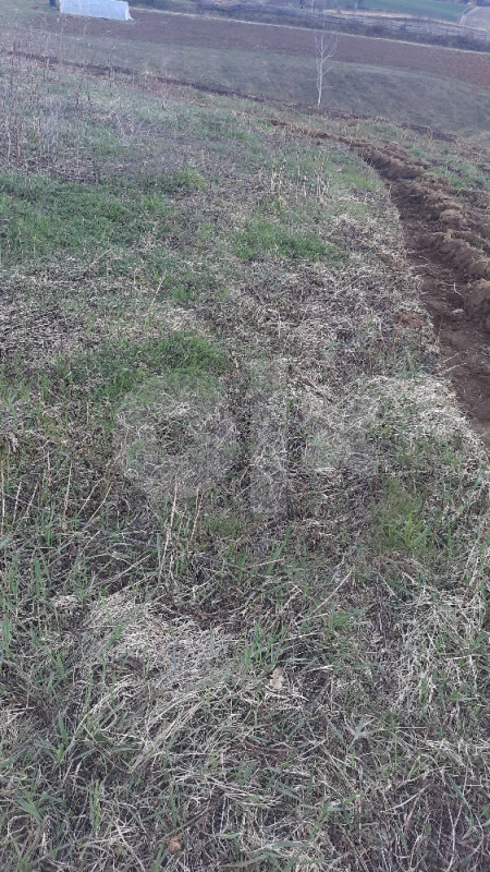 HITNO- HITNO IMANJE VRLO  povoljno sa kucom za renoviranje 14