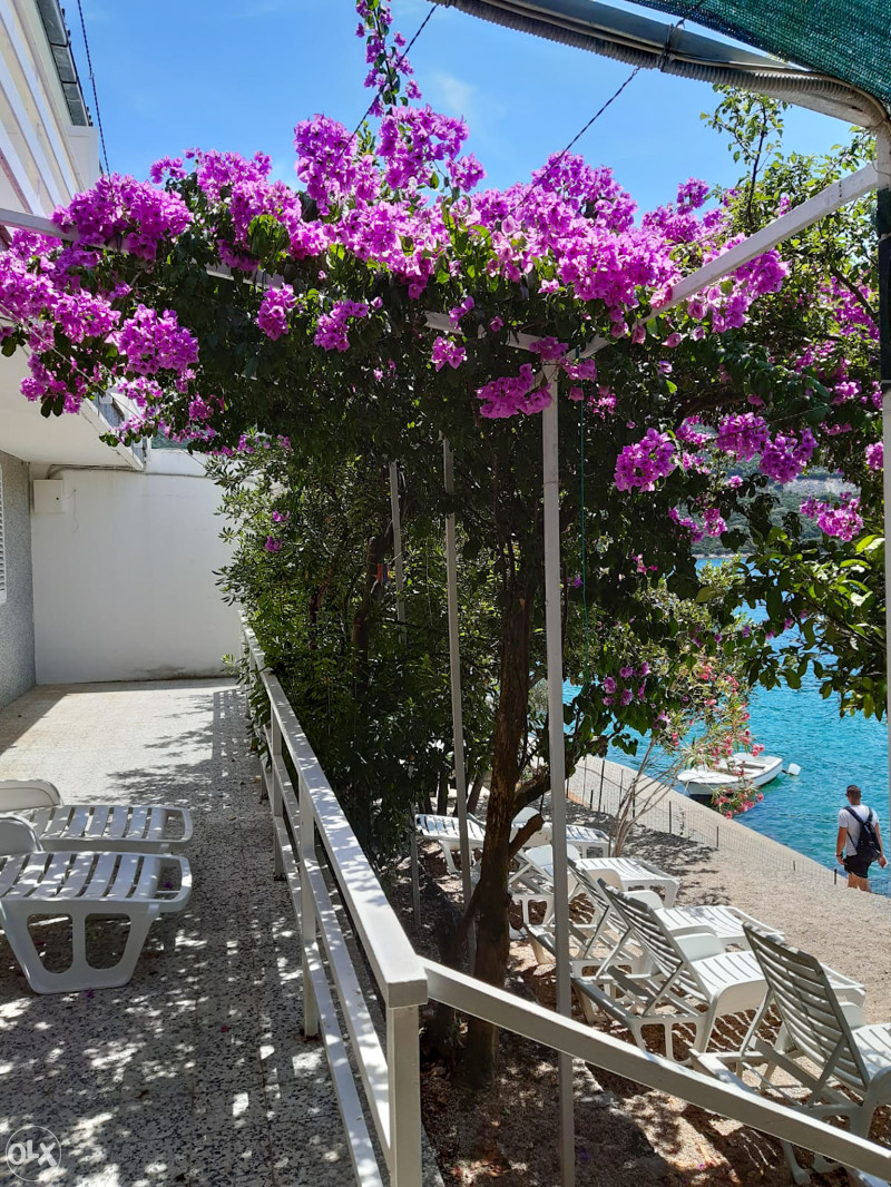 Apartmani Lavanda - Neum