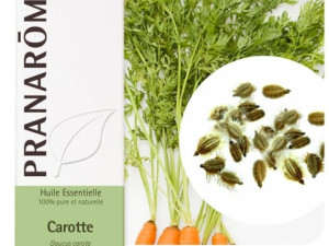 Eterično ulje sjemenki Mrkve (Daucus carota) PRANAROM
