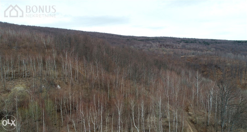 ZEMLJIŠTE - FOJNICA - 400 DUNUMA 4