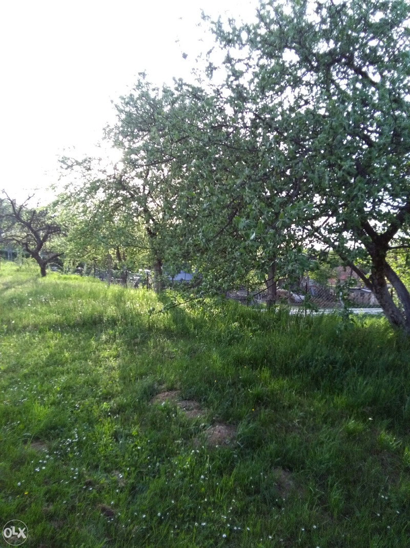 Kuća Stanari i imanje 6