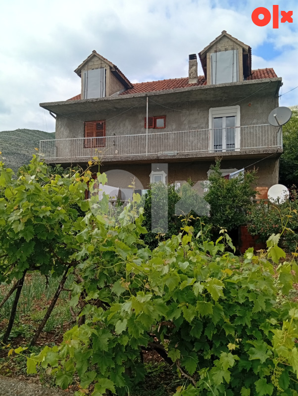 Prodaja kuce u Trebinju Vinogradi sa velikom okucnicom