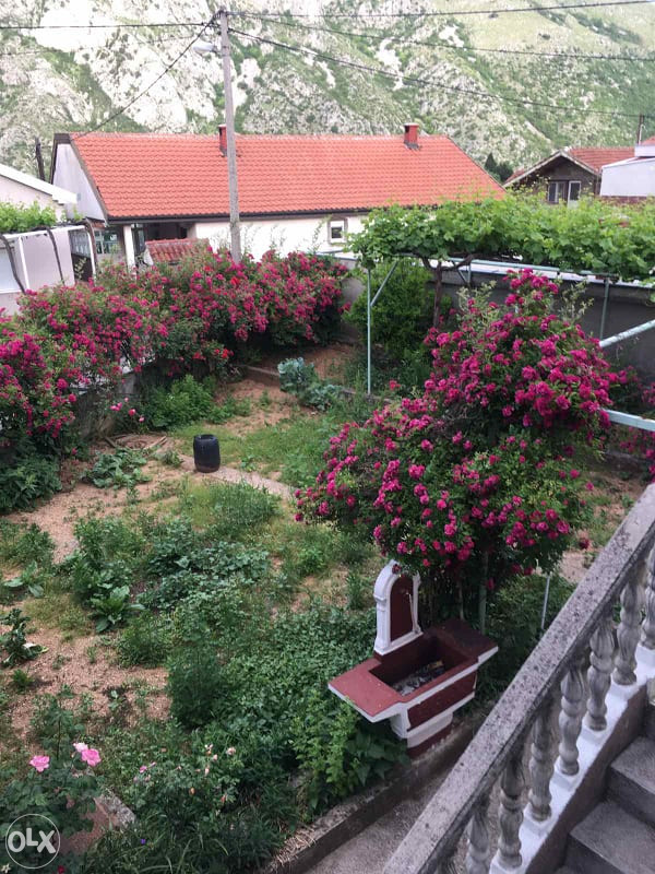 Kuća sa 3 odvojena stana-investicija, 10 minuta od Starog mosta 3