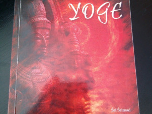 HINDUIZAM , Savršenstvo YOGE Joge - Sri Srimad , JOGA