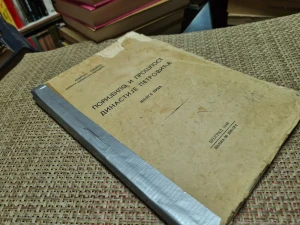 Porijeklo i proslost dinastije Petrovica - knjiga I