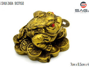 FENG SHUI ZABA DEKORACIJA FIGURA 9137150