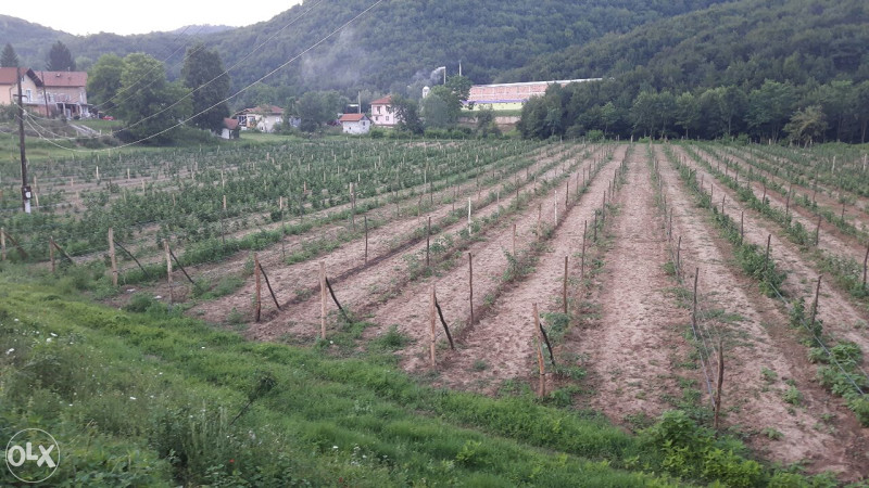 PRODAJEM 20 DUL.ZEMLJE PORED ASFALTA I RIJEKE. 2