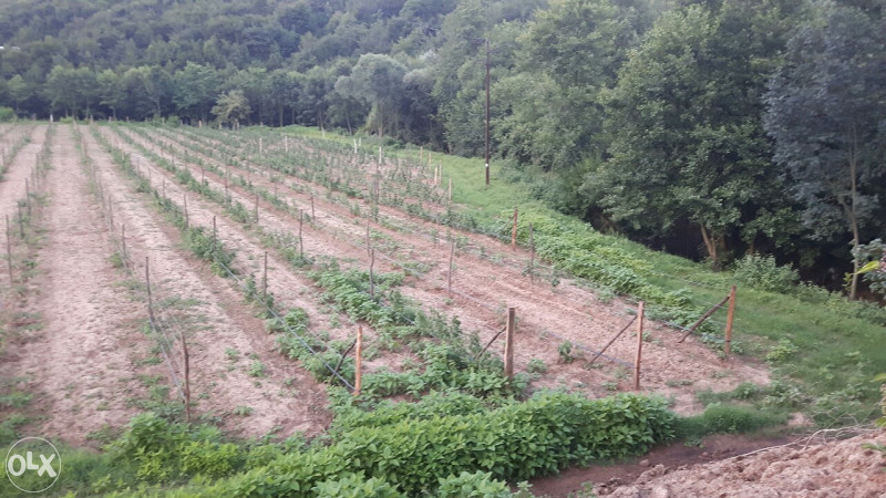 PRODAJEM 20 DUL.ZEMLJE PORED ASFALTA I RIJEKE. 3