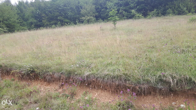 PRODAJEM 20 DUL.ZEMLJE PORED ASFALTA I RIJEKE. 6