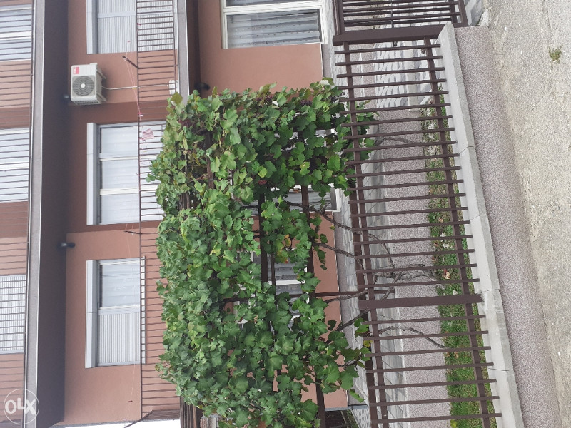 Kuća Prijedor 10