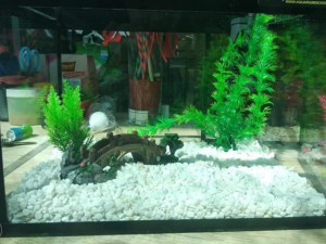 Akvarijum 13 litara sa svom opremom i bez