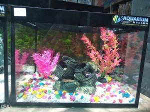 Akvarijum 19 litara sa i bez opreme