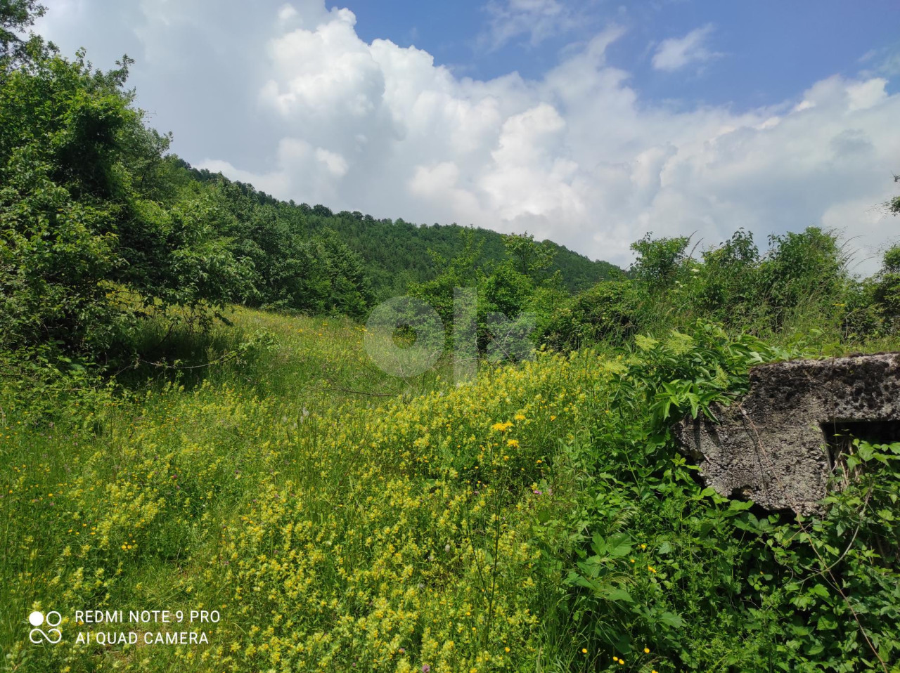 Zemljište sa kućom Novi Travnik 8