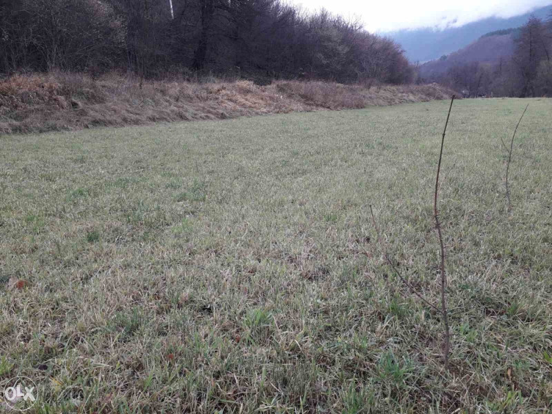 Zemljište Pazarić, 1430 m2 i 654 m2 7