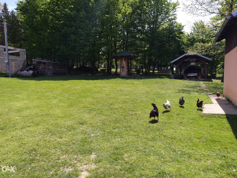 Imanje na starom prijedorskom putu/Dragočaj - 12000 m2 3