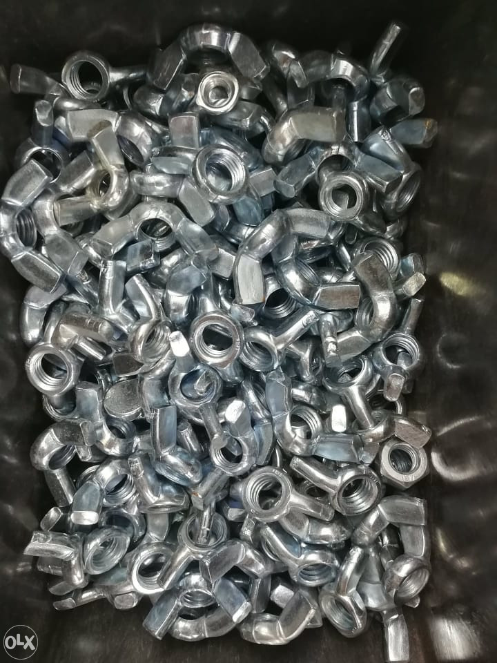 LEPTIR MATICA M10 SLIJEPA MATICA M10