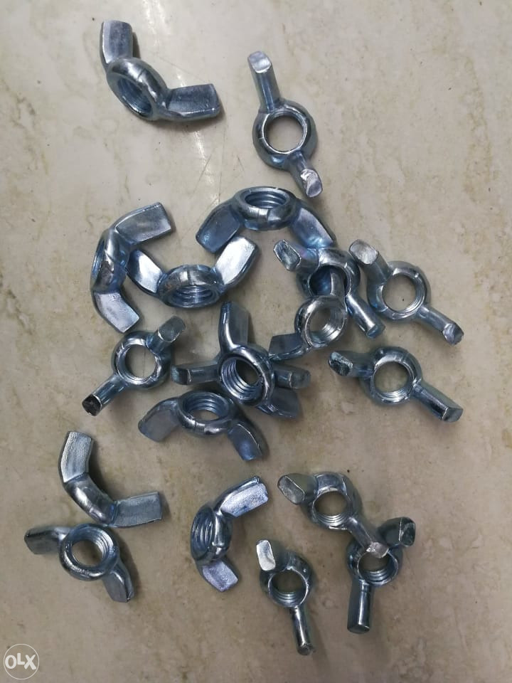 LEPTIR MATICA M10 SLIJEPA MATICA M10