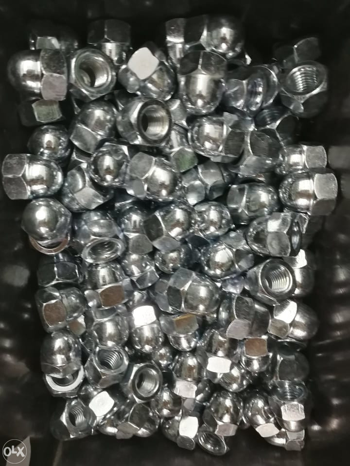 LEPTIR MATICA M10 SLIJEPA MATICA M10