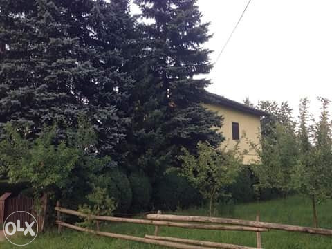 Kuća Ilidža, Vrelo Bosne 5
