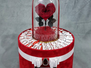 POKLON BOX - Pokloni vjecna ruza rodjendan medo plisani