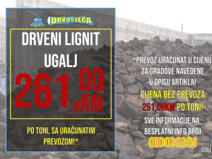 DRVOSJEČA Drveni ugalj lignit