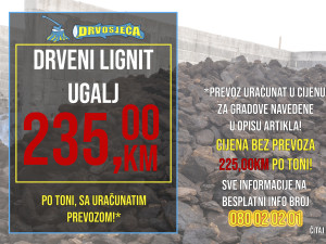 DRVOSJEČA Drveni ugalj lignit